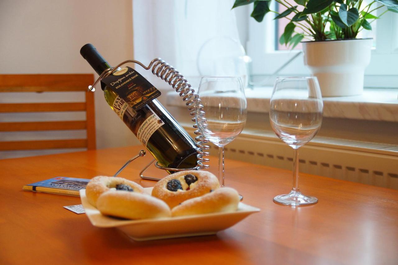 Luxusni Apartman Nmnm Family 노베 메스토 나 모라베 외부 사진
